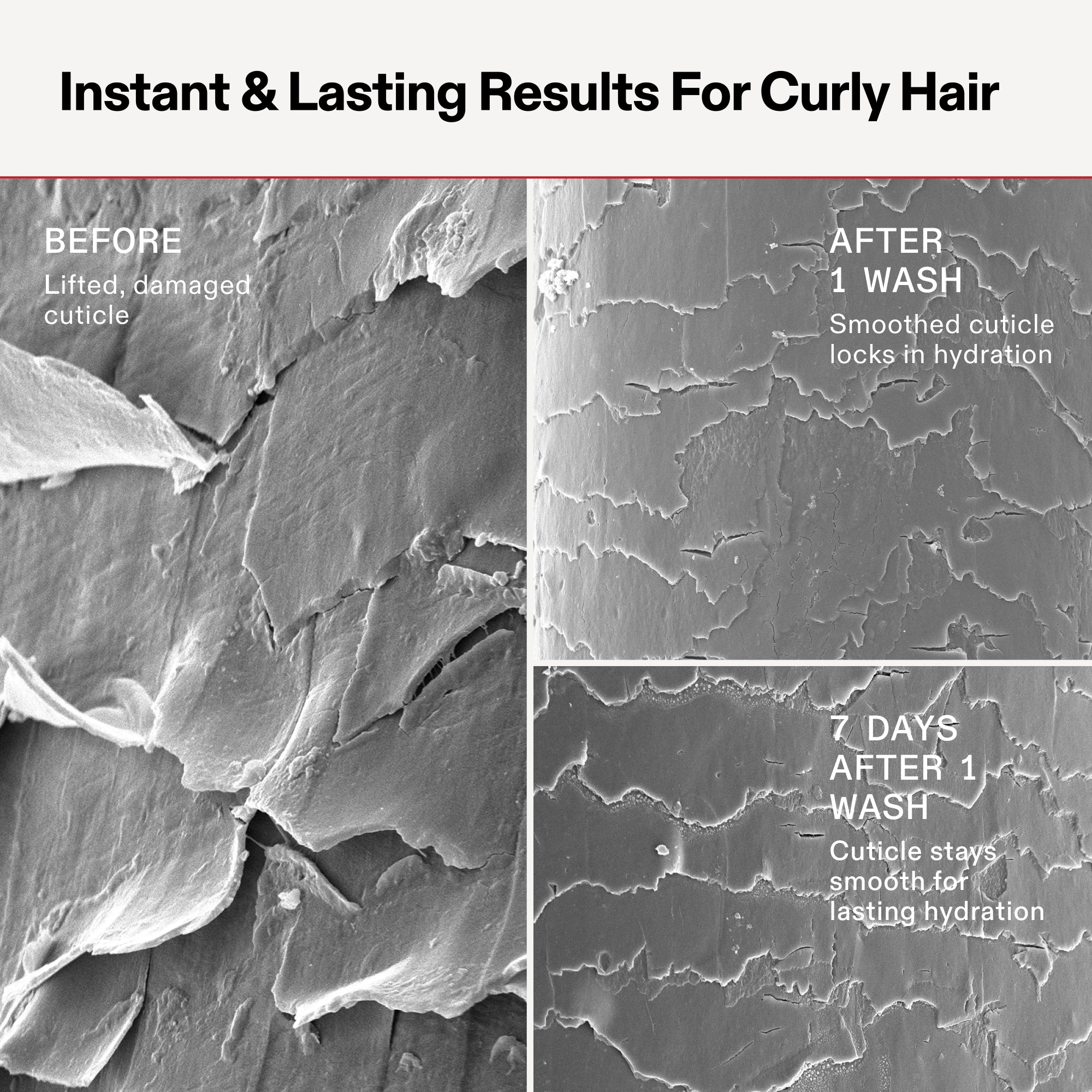 11_sem-curl_n4.jpg